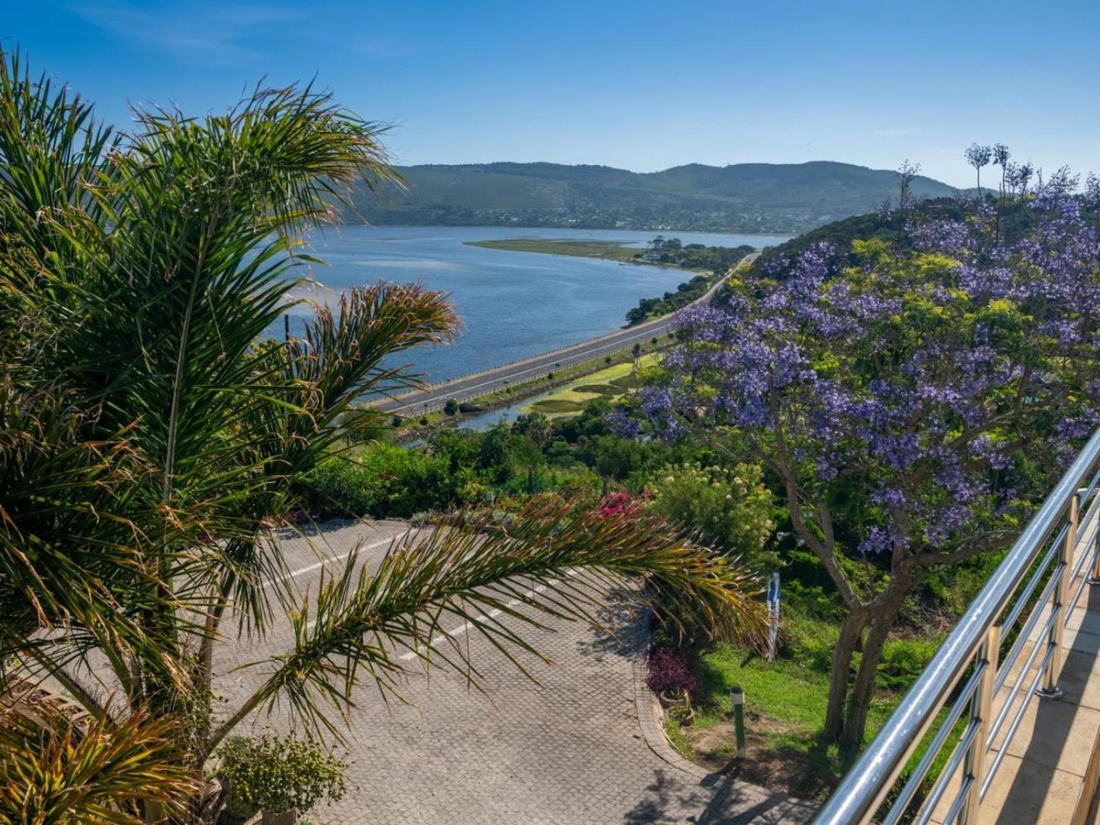 Guest House The Lazy Lion Knysna Exterior photo