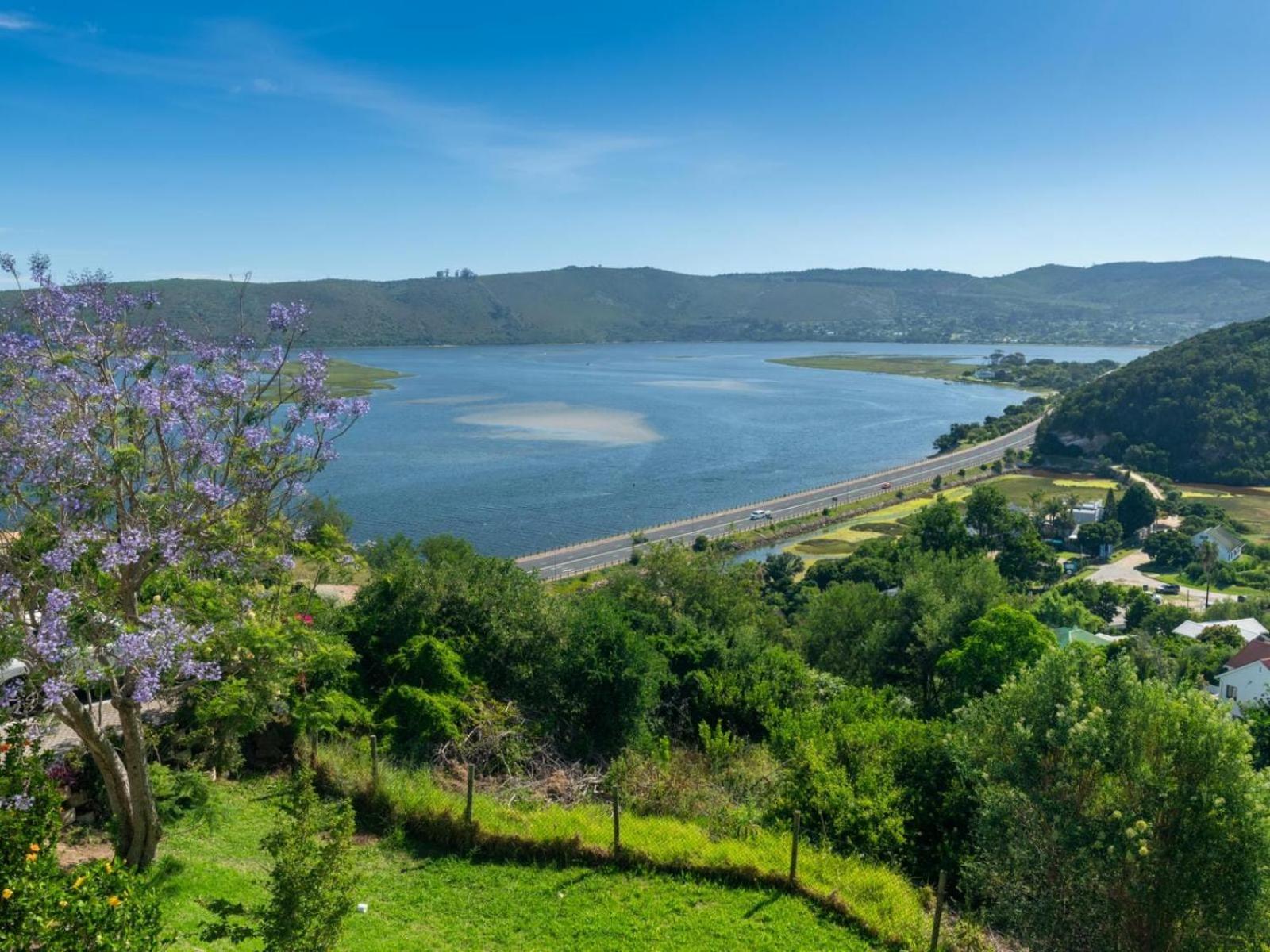 Guest House The Lazy Lion Knysna Exterior photo